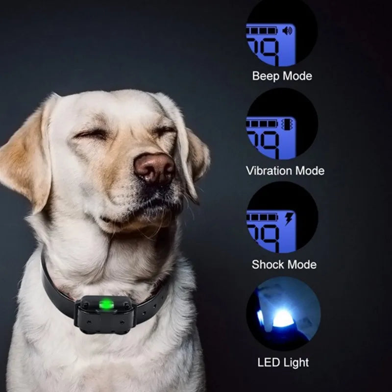 Norvo | Collier de dressage électrique pour chien E-collier – Sûr, efficace, télécommande