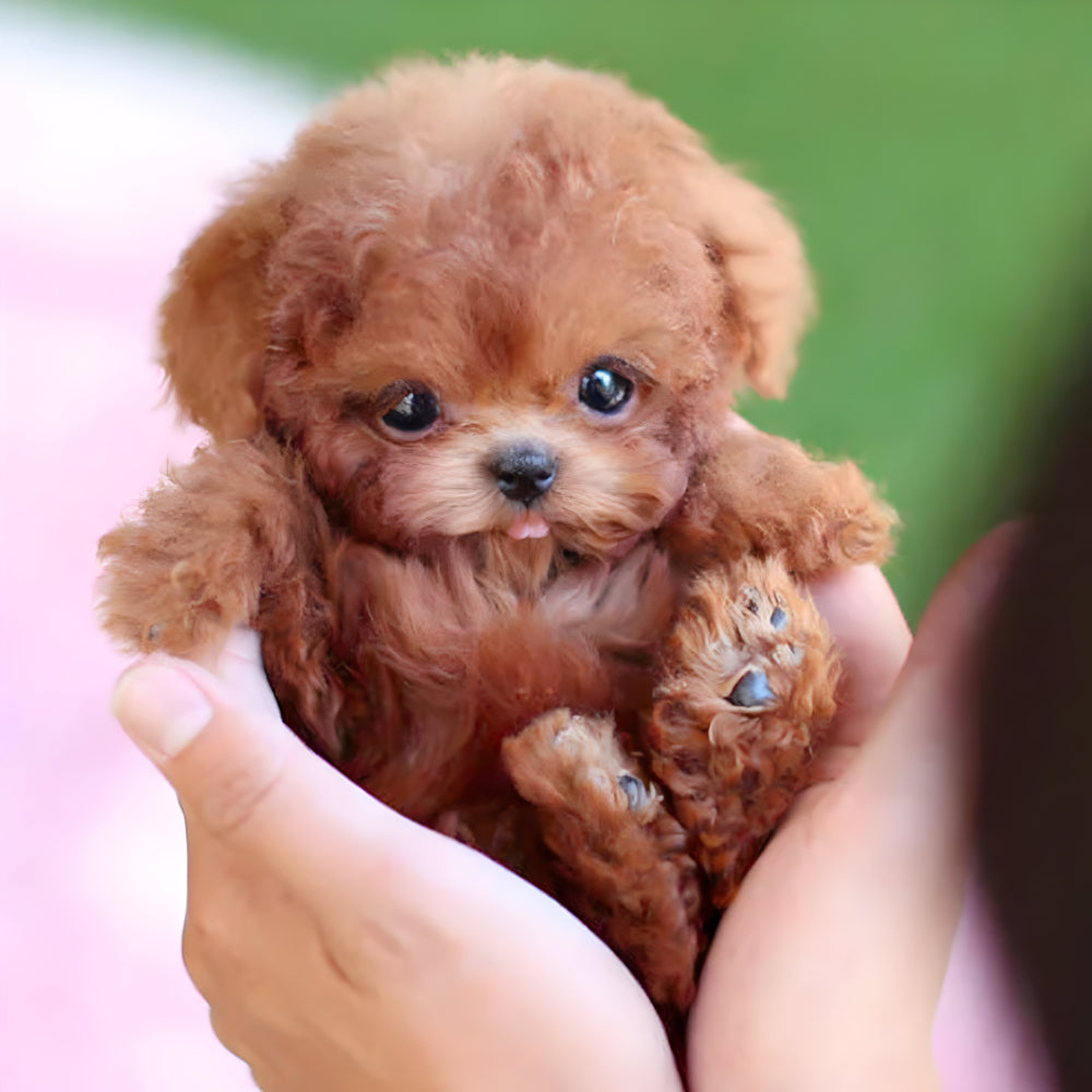 Norvo | Nicoo Robot Chiot Jouet Interactif Réaliste Chien Vivant pour Enfants
