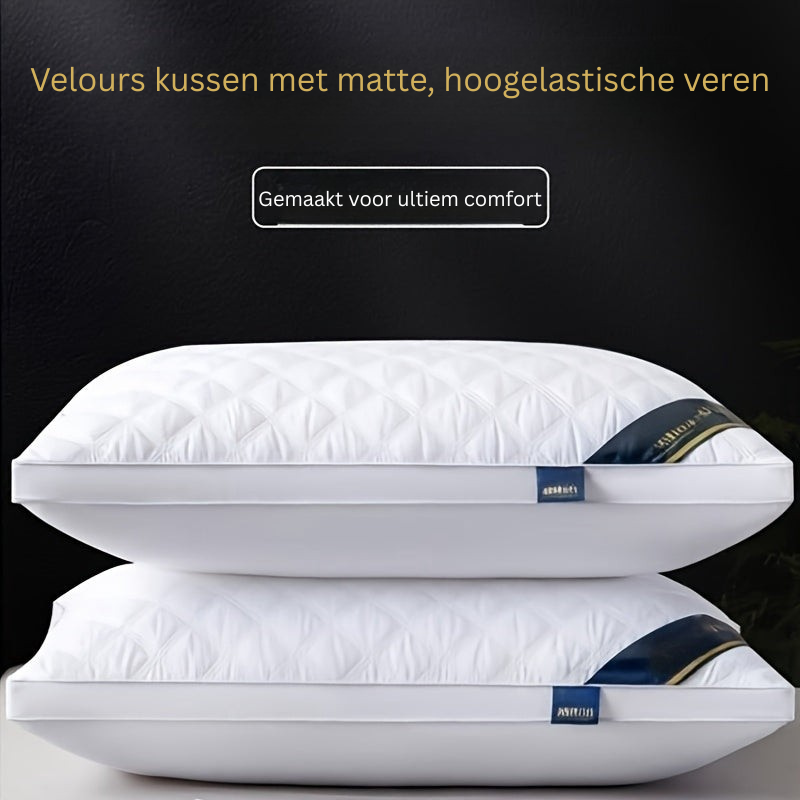 Ensemble de Confort de Sommeil - 2 Oreillers Hypoallergéniques 3D pour un Sommeil de Qualité Hôtelière