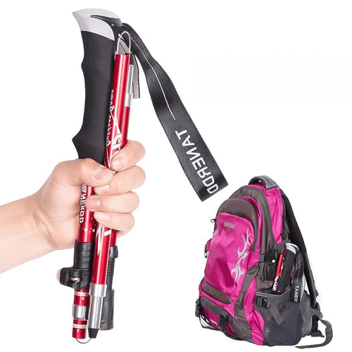 Bâtons de randonnée télescopiques – TrailMaster