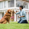 Répulsif pour chiens | Puissant outil de dressage et d'anti-aboiement à ultrasons